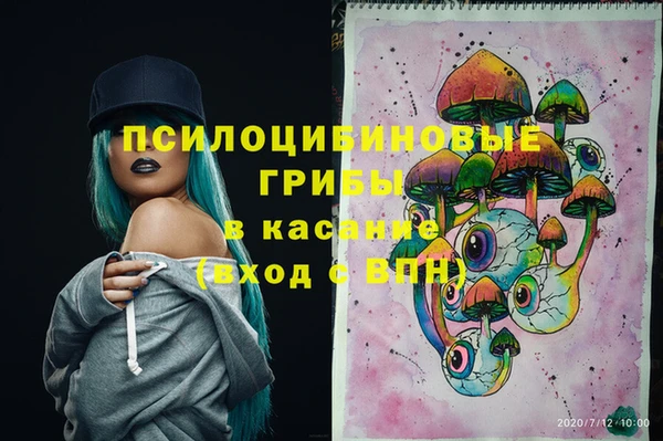 mix Каменка