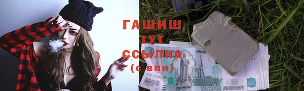 мдпв Инта