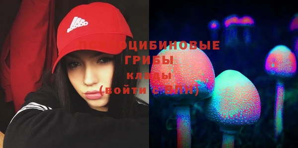 mix Каменка