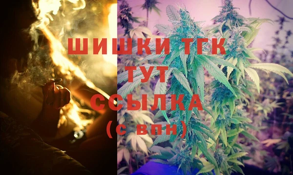 mix Каменка
