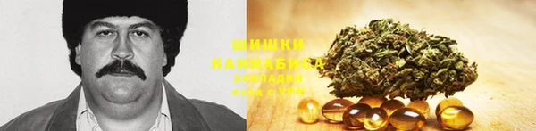 гашиш Касимов
