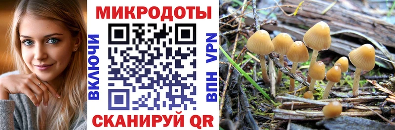 Купить закладки  Грозный  Галлюциногенные грибы Psilocybe 